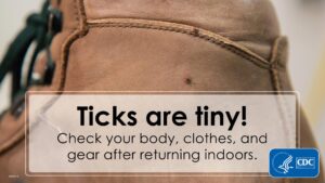 A work boot with a message from CDC that ticks are tiny and to check your body, clothes, and gear after returning indoors.